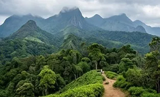 Knuckles Mountain Range